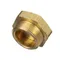 Blakeslee 17507 Cap-Line Strainer