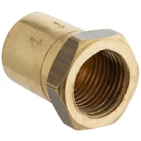 177CAGORIF44 Avantco