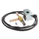 Avantco Ice 19491931 Defrost Valve Body and Coil for Select Ice Machines