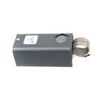 International Cold Storage 19798 Thermostat