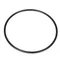 Blakeslee 20459 Belt
