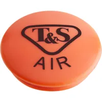 209L-AIR-NS T&S Brass
