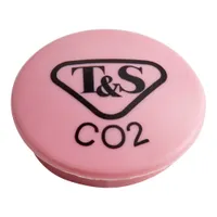 209L-CO2-NS T&S Brass