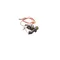 Garland / US Range 2206506 Spark Ignition Pilot Nat 24in