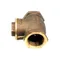 Cleveland 22132 Vlv;Brass;Swing Check 1-1/4 In