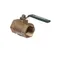 Cleveland 22213 Vlv;Btrfly 1in;-30f Cntns-Fem