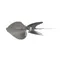 Heatcraft 22900701 Fan Blade