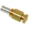 All Points 26-3938 Pilot Orifice (Baso); 0.025" Hole; Liquid Propane; Size (CCT): 1/4"
