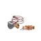 Heatcraft 29341710 Txv