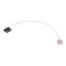 Wells 2E-45239 Proximity/Reed Switch Assembly