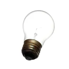 APW Wyott 2E-75916 Lamp, 40W Ptfe Coated 40W A15