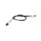 Wells 2J-30385 Indicator Light