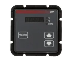 Wells 2T-307490 Control W/ Display