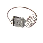 Wells 2T-46269 Thermostat W/Aux Sw