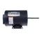 Lang 2U-30200-16 Fan Motor 480v