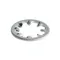 Sunkist 36 3/16" Internal Lock Washer for Commercial Juicer