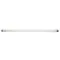 Cornelius 31622 Bulb