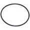 All Points 32-1659 10" Steamer Filter O-Ring
