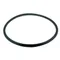 All Points 32-1662 O-Ring