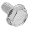 Bunn 32580.0000 Replacement Hex Screw for Granita / Slushy Machines