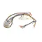 Blodgett 36247 Harness, Control