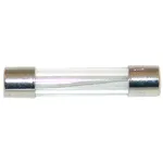 All Points 38-1404 1/4" x 1 1/4" 10A Fast Acting Glass Fuse - 250V