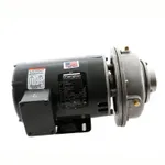 Champion 414374 Pump Assembly