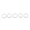 Legion 420055 Packing Ring Set - 5/Set