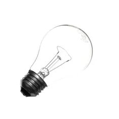 Blodgett 4342 Bulb 40w, 120v