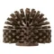 Carlisle Sparta 5" Brown Pipe and Valve Brush 45005EC01
