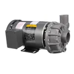 Champion 451643 MOTOR & PUMP ASSY