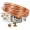 Cornelius 46307 Thermostat Water