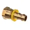 Jackson 4730-011-93-99 Fitting,1/2 Pushlok Female Brass