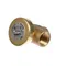 Jackson 4820-002-53-77 Vacuum Breaker 3/4" Brass
