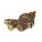 Jackson 4820-100-04-07 Regulator, Water Pressure