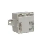 Hoshizaki 4A1107-22 Relay