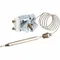 Robertshaw Industries 5300-40A Millivolt Thermostat