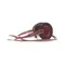 Kolpak 550000463 Fan Dly Sw-Carrier Item 103079009
