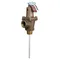 All Points 56-1081 Cast Iron 3/4" NPT Pressure and Temperature Relief Valve - 150 PSI