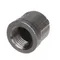Jackson 5700-002-02-19 Rinse Arm Cap