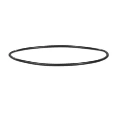 SaniServ 58911 O-Ring