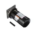 Jackson 6401-008-50-00 PUMP ASSEMBLY 1/2HP 110/220 10,100,50