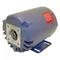 AllPoints 68-1116 Filter Pump Motor - 115V, 1/3hp, 1725 RPM