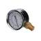 Multiplex 683072 Gauge 0-100 Psi 1/4Npt