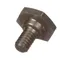 Blakeslee 73958 Screw