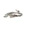Structural Concepts 75045 Top Light Harness