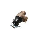 Blakeslee 7918 Pressure Relief Valve