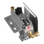 AllPoints 8010599 Gas Valve Assembly