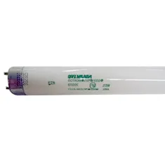 True 801156 Replacement Lamp for Refrigerators, Merchandisers, Freezers, and Dipping Cabinets
