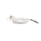 True Refrigeration 801778 Cord
